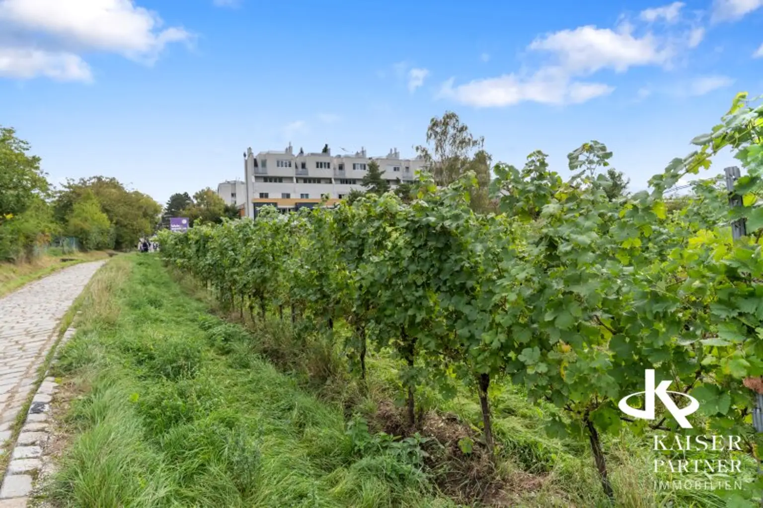 Elegante Villa in Mauer, Nähe Maurer Hauptplatz, Garten, Terrasse & Grünblick!