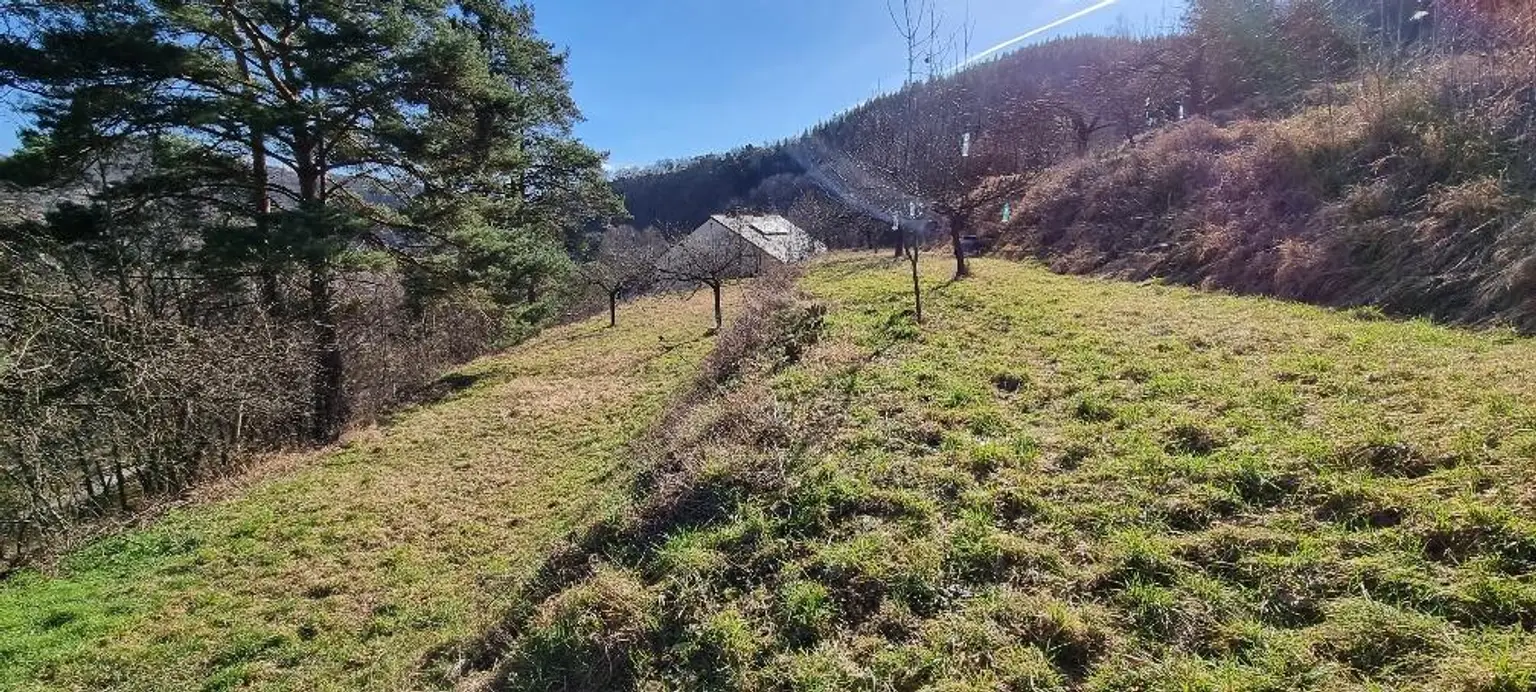 RARITÄT IN SENFTENBERG - GELEGENHEIT AUF EINEN WEINKELLER MIT SCHÖNEM KELLERGEBÄUDE, KELLERRÖHRE SOWIE GARTENHAUS AUF HERRLICHEM TEILWEISE ALS BAULAND GEWIDMETEN GRUNDSTÜCK