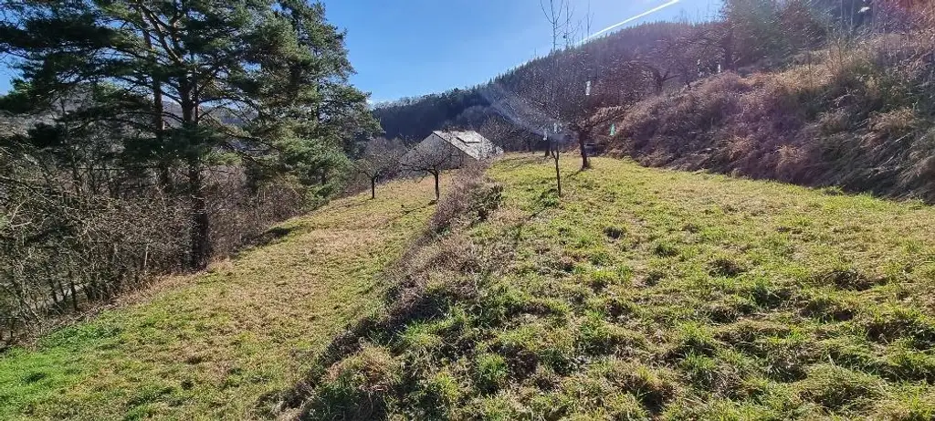 RARITÄT IN SENFTENBERG - GELEGENHEIT AUF EINEN WEINKELLER MIT SCHÖNEM KELLERGEBÄUDE, KELLERRÖHRE SOWIE GARTENHAUS AUF HERRLICHEM TEILWEISE ALS BAULAND GEWIDMETEN GRUNDSTÜCK