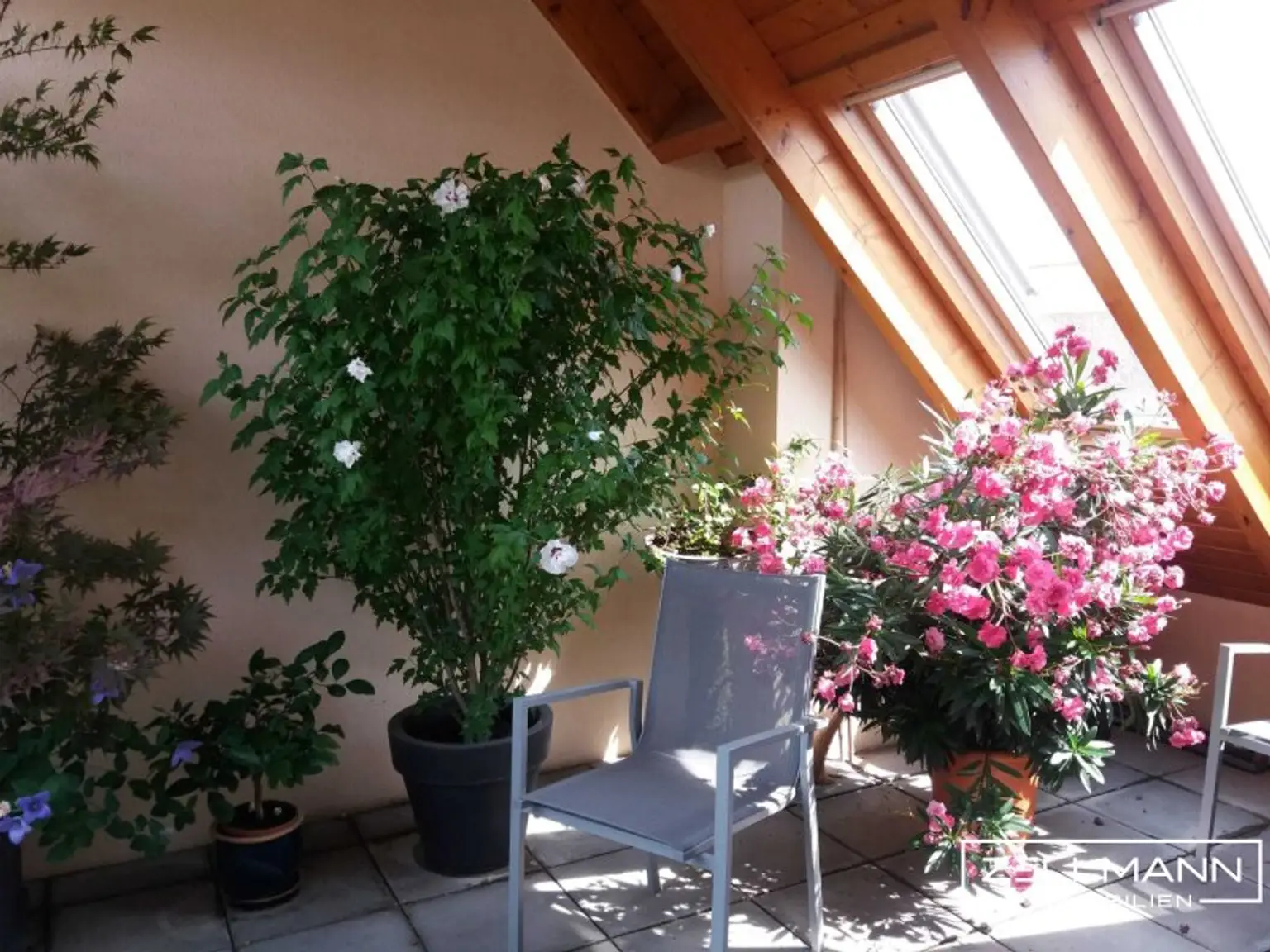 „Ein Ort zum Aufatmen – Lichtdurchflutete Dachterrassen-Maisonette mit Stil“ | ZELLMANN IMMOBILIEN