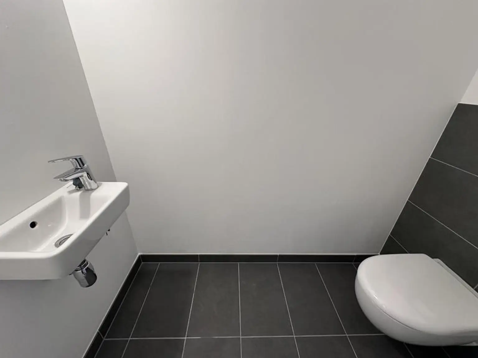 einen Katzensprung von Wien entfernt MIETE