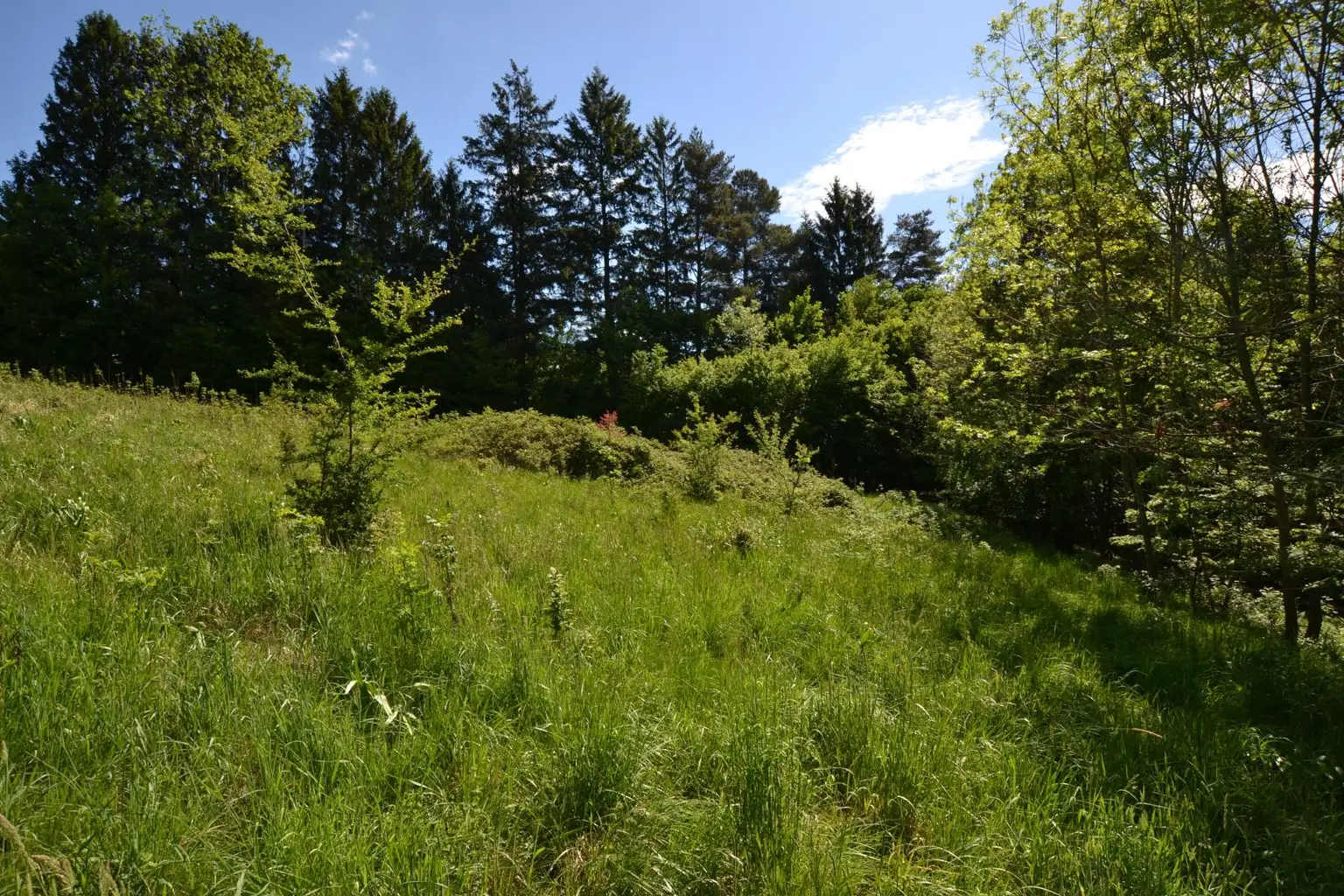 Grundstück