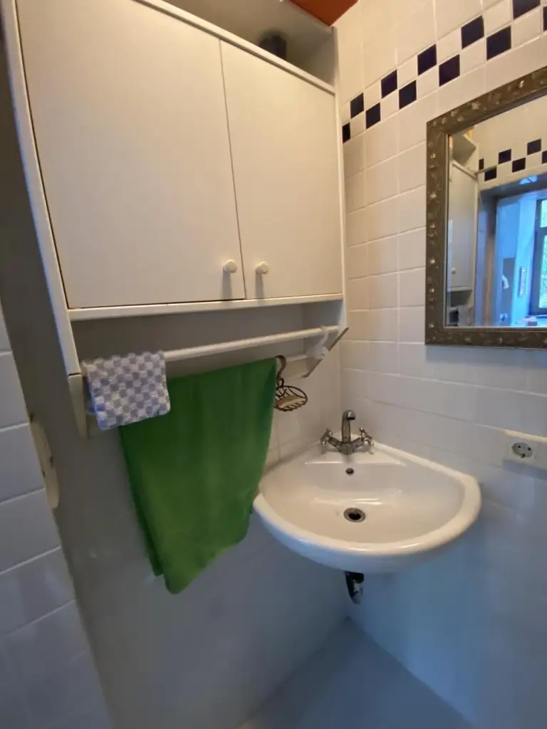 "Jahrhundertwende Stilhaus mit Wald"