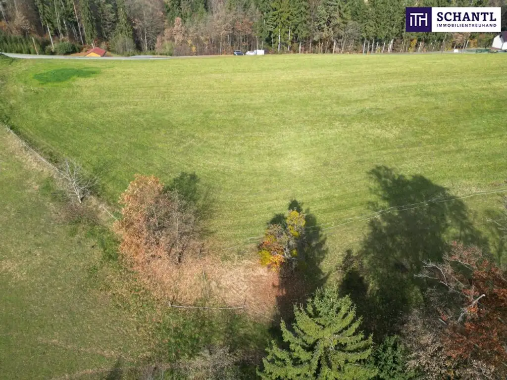 Ihr Luxus-Bauplatz in idyllischer Lage für ein kaiserliches Wohngefühl! – Grundstücke ab 850 m² - Nähe Lannach & St. Josef Oisnitz