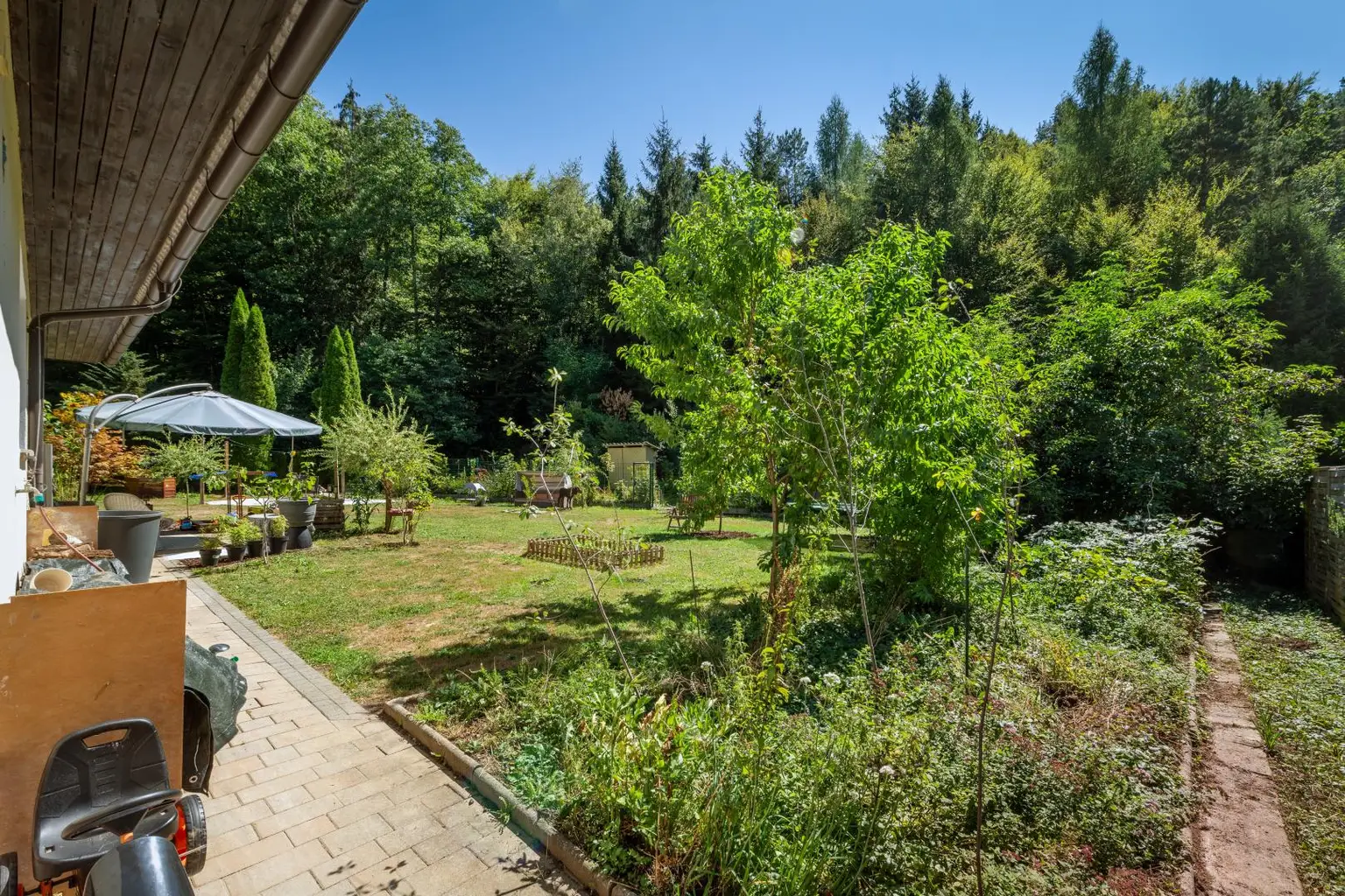 Blick in den Garten