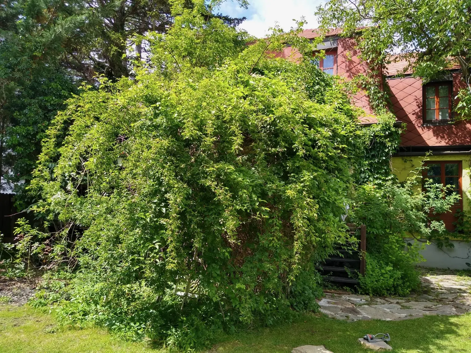 Natur pur , tolles Haus