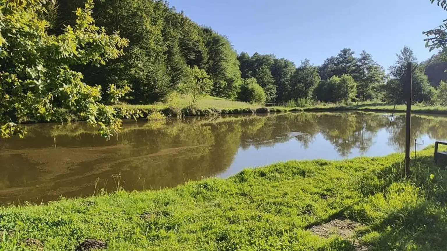 Anwesen bei NP  Lonjsko Polje - 6