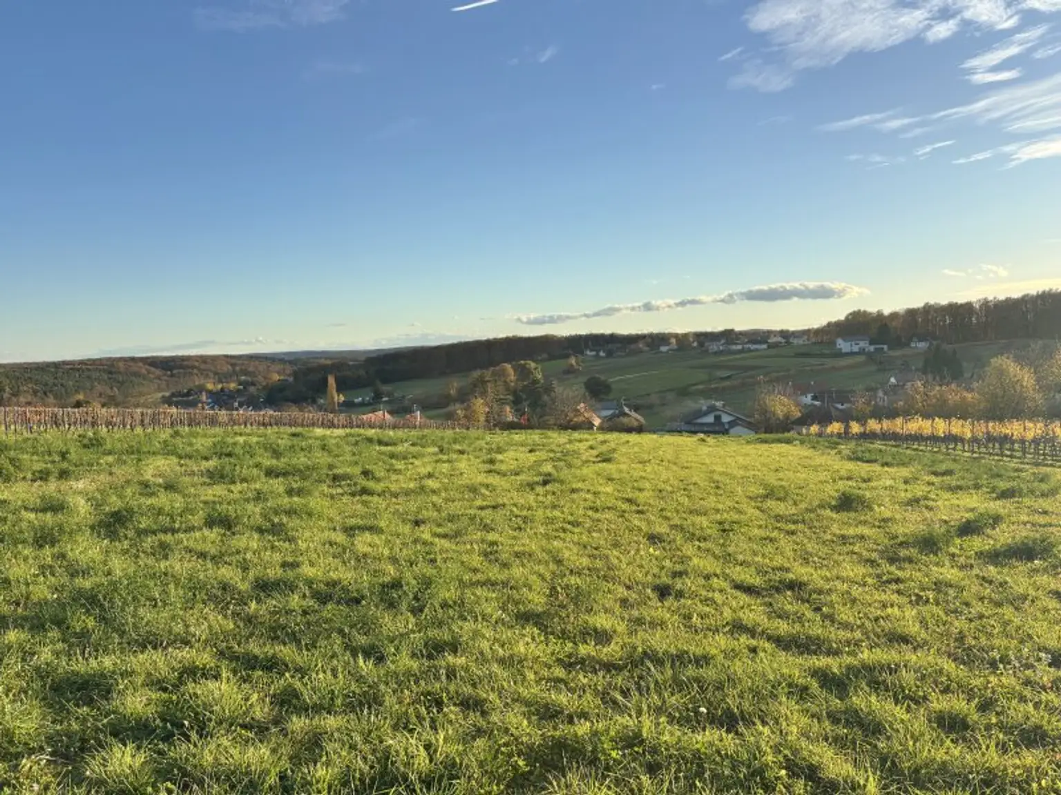 ** LEGENDE IN DER WEINIDYLLE ** D. Ehrensdorf !! Gepflegtes Haus mit ca. 245 m2 Nfl. in gediegener Ortsrandlage - Hauptwohnsitz möglich !!