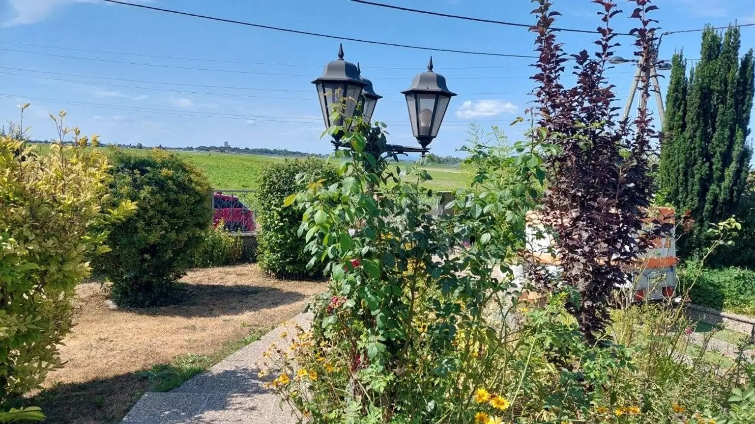 "Miethaus mit Terrasse und Garten - Breitenlee - Neuessling"