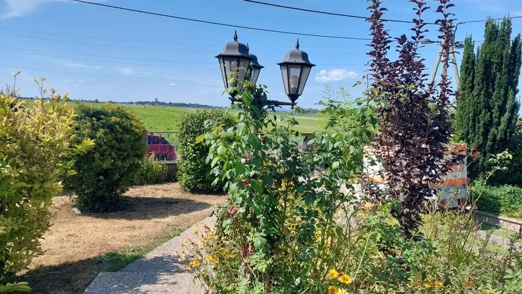 "Miethaus mit Terrasse und Garten - Breitenlee - Neuessling"
