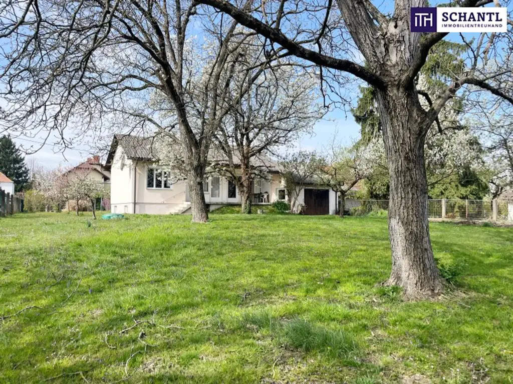 PLATZ zum WACHSEN – sanierungsbedürftiges Haus mit großem Garten und traumhaften Bäumen in Graz Liebenau! Bungalow mit Ausbaureserve!