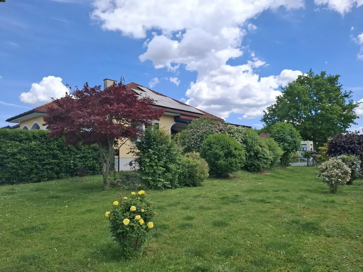 Garteneindrücke
