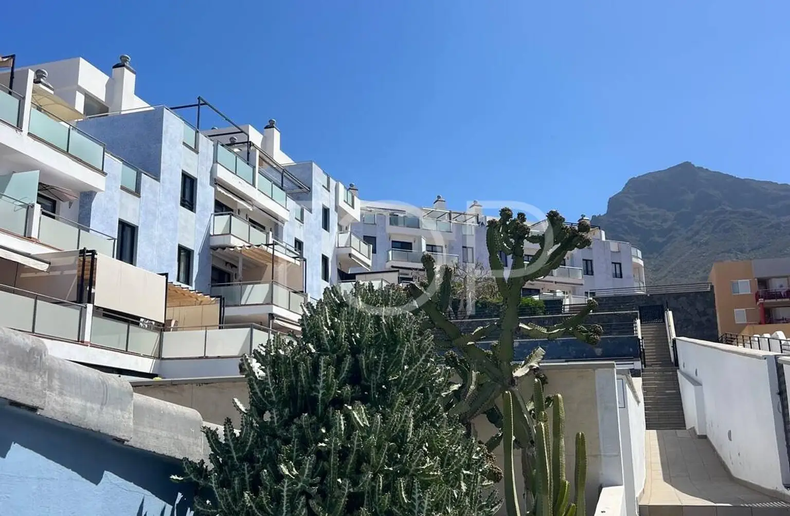 PHOTO-2026-01-13-20-03-25_21