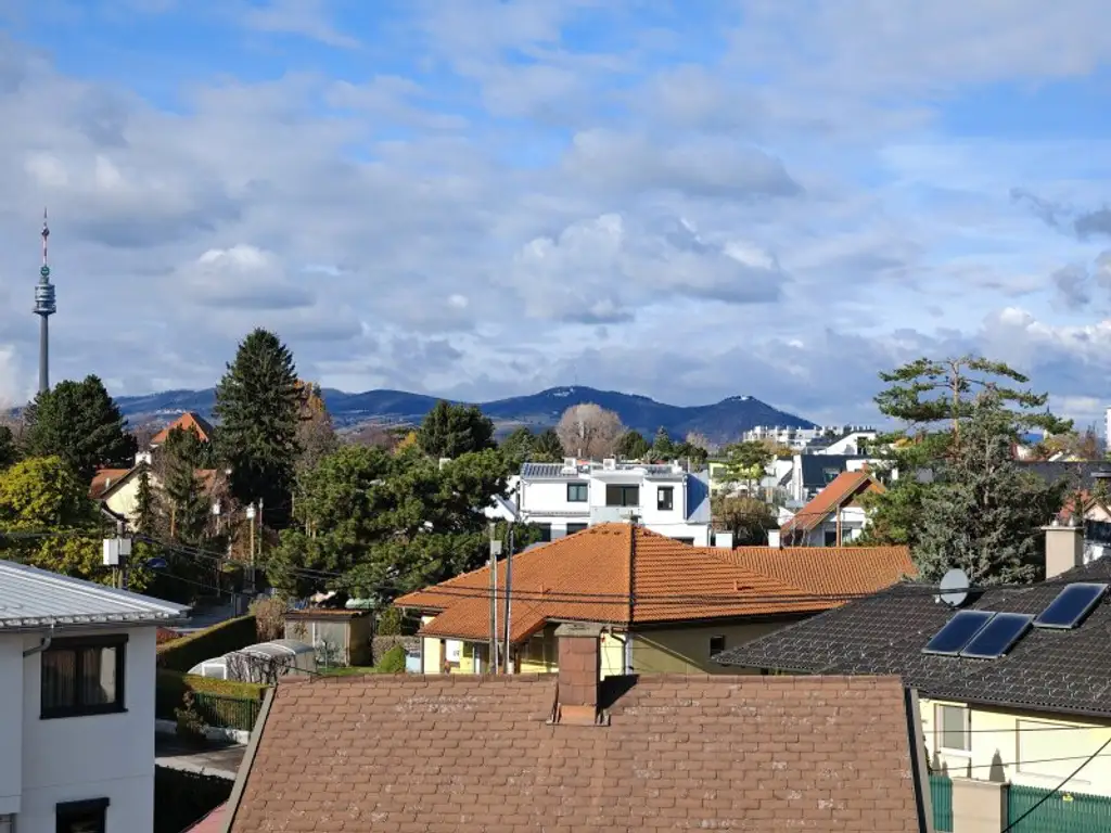 In absoluter Ruhelage bei der alten Donau, komplett möbliert