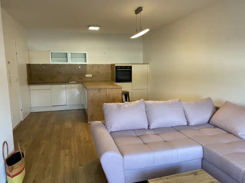 Sehr schöne , neue Mietwohnung, teilmöbliert