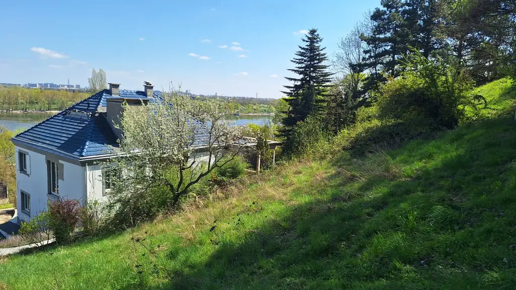 Edelrohbau-Villa, Herrschaftlicher Wohnsitz am Fuße des Kahlenberges an der Donau. Teilrestauriert entkernt und komplette Ausbauplanung.