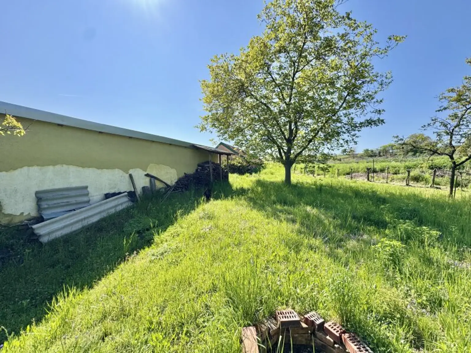 Weinkeller in idyllischer Kellergasse | Nähe Langenlois