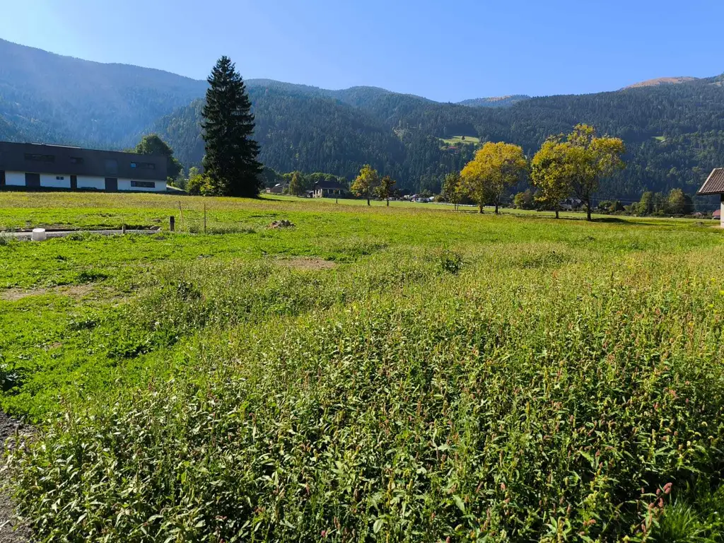 Traumhaftes Grundstück für Wohnprojekt im Zentrum von Afritz am See – 4.169 m²