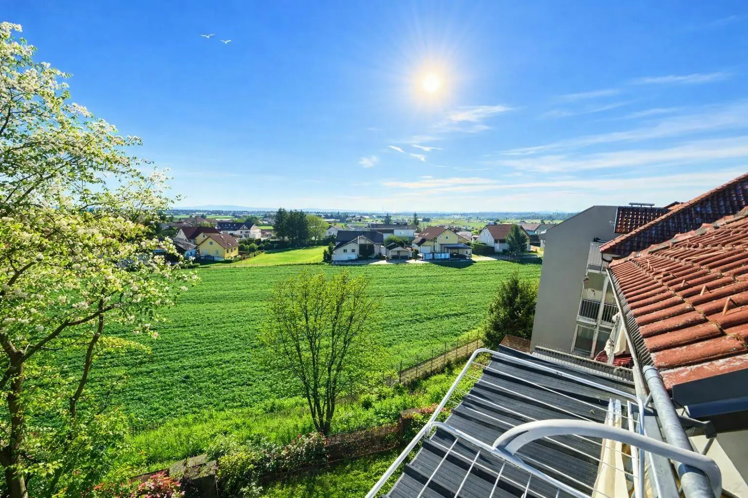 Blick 3 Balkon Frühling Sommer