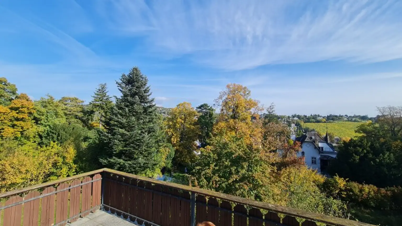 DORNBACH: Repräsentative Villa in Aussichtslage
