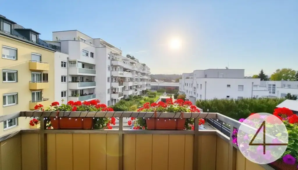Schöne 3 Raum Wohnung in Wels