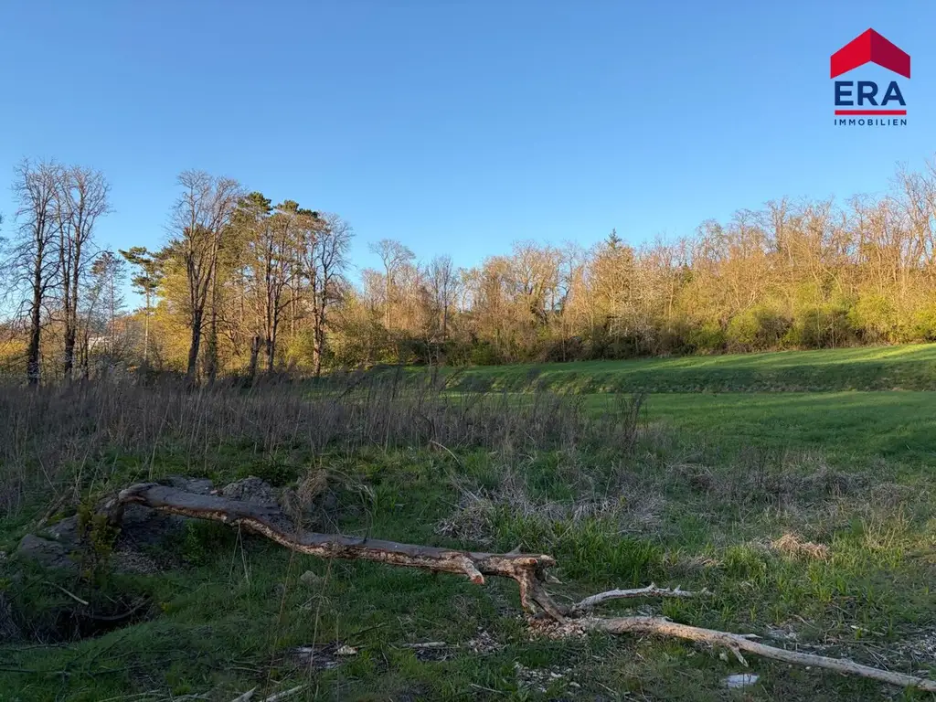 Exklusives Freizeitgrundstück in absoluter Grünruhelage – Natur, Weite & vielfältiges Potenzial in Gaweinstal