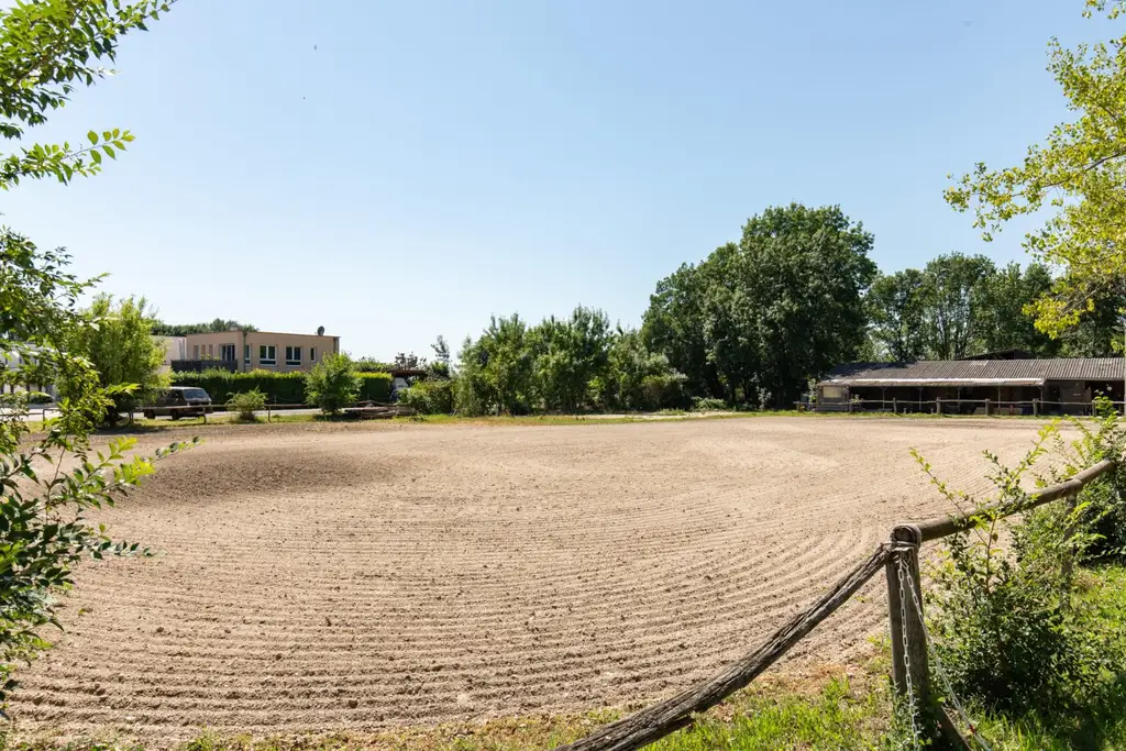 BAULAND in Neusiedl am See – Wohnen im Grünen mit bester Lebensqualität