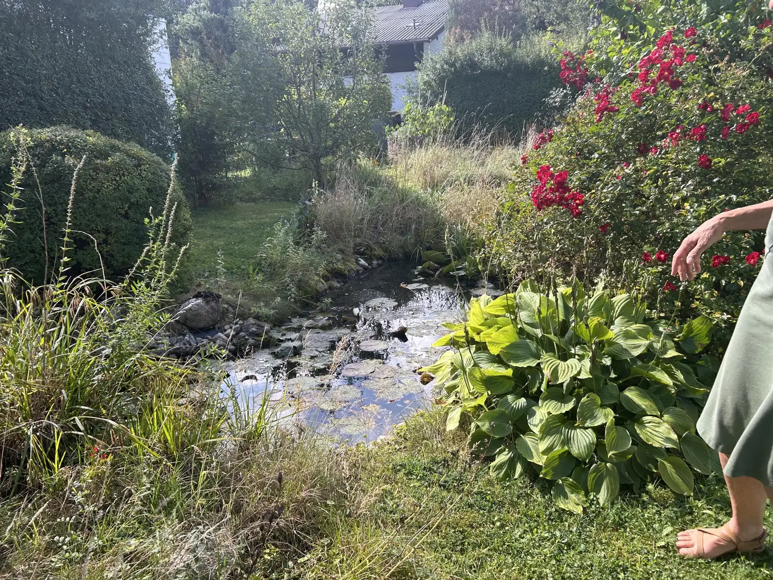Ihre Liegenschaft in sonniger Lage in Puchberg am Schneeberg