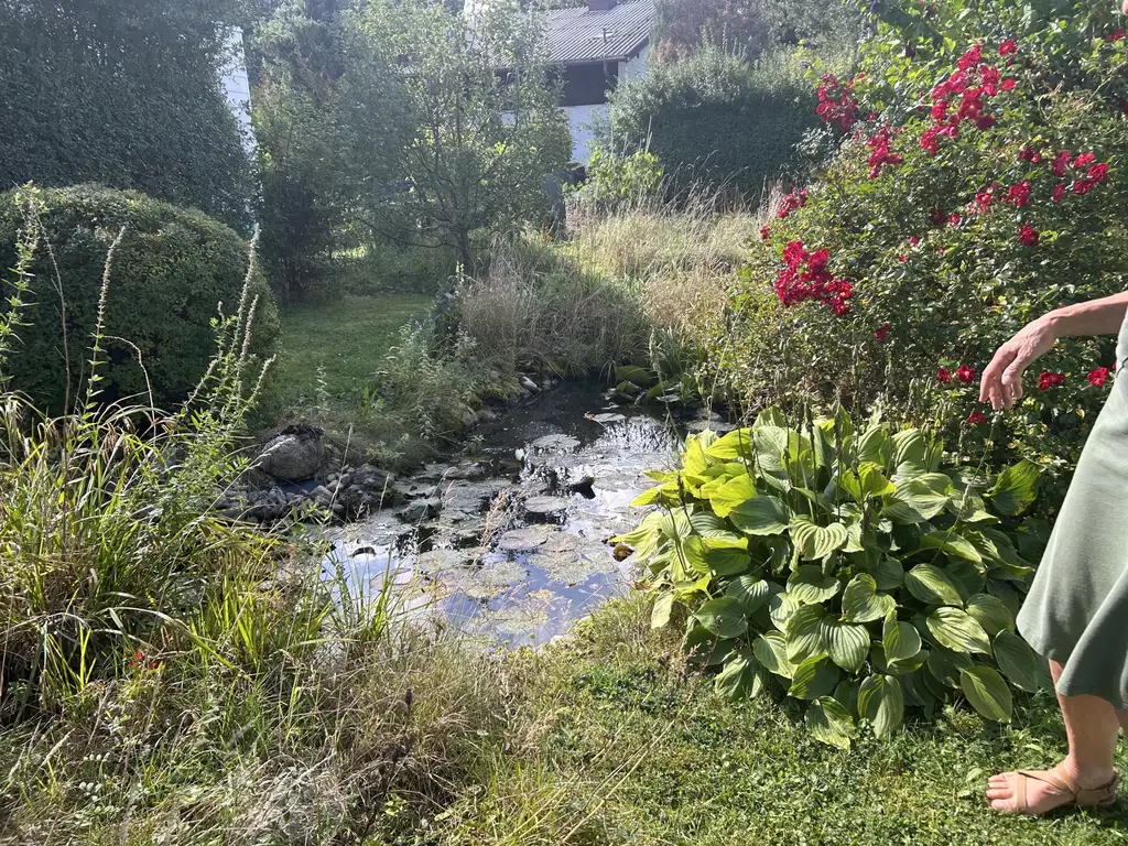 Ihre Liegenschaft in sonniger Lage in Puchberg am Schneeberg