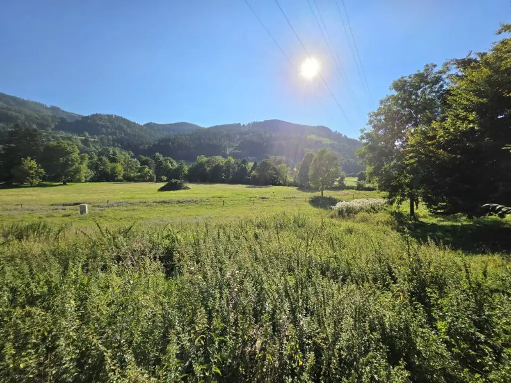 Sonniges Wohnerlebnis mit schöner Aussicht!