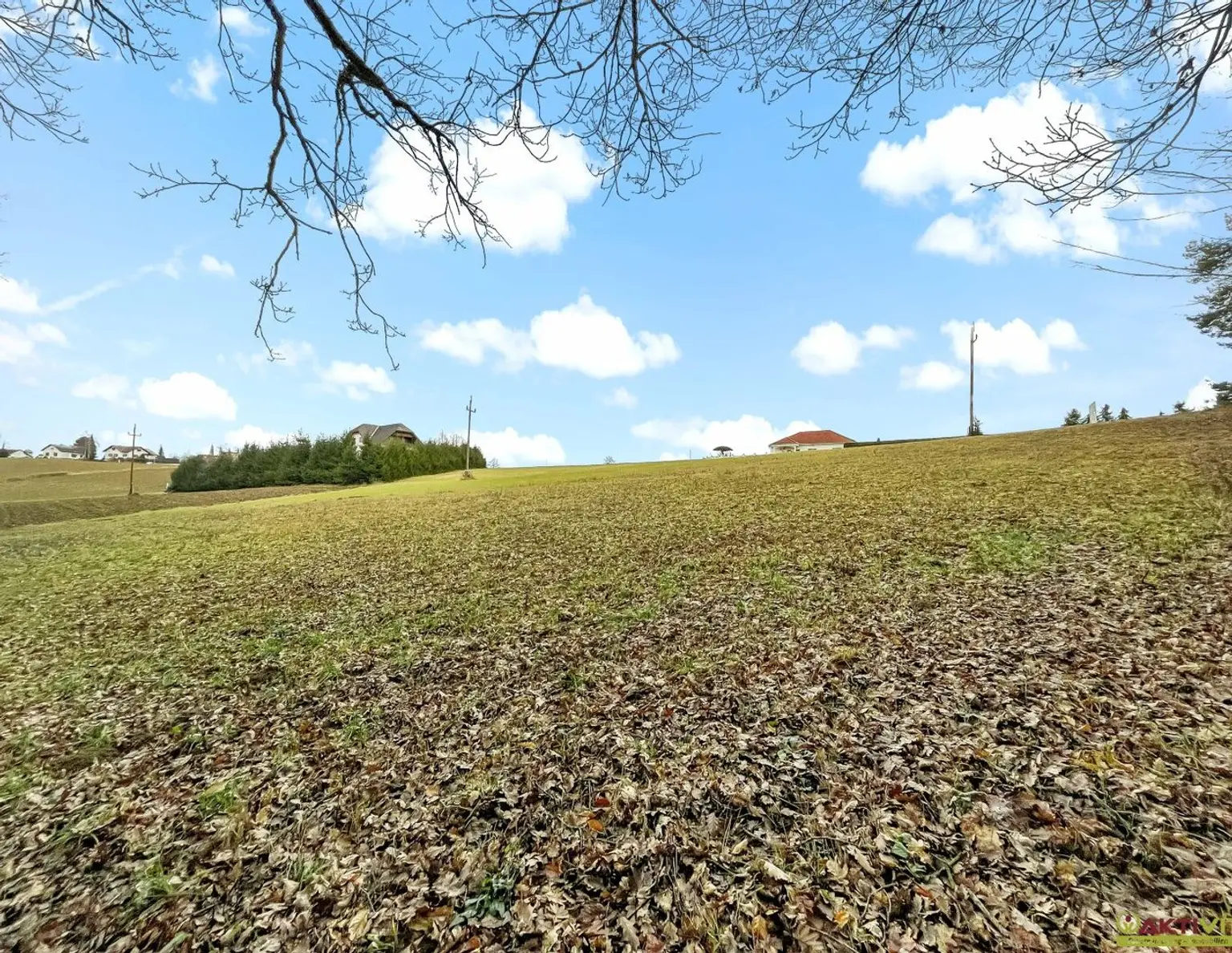 Großer Wohn-Baugrund in erhöhter Lage. - Freiland-Anteil mit Potential zur Widmung. - Vielfältige Möglichkeiten.
