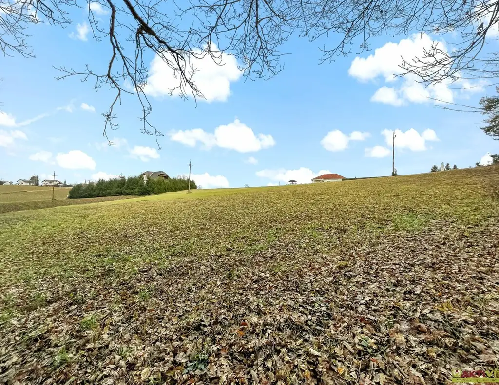 Großer Wohn-Baugrund in erhöhter Lage. - Freiland-Anteil mit Potential zur Widmung. - Vielfältige Möglichkeiten.