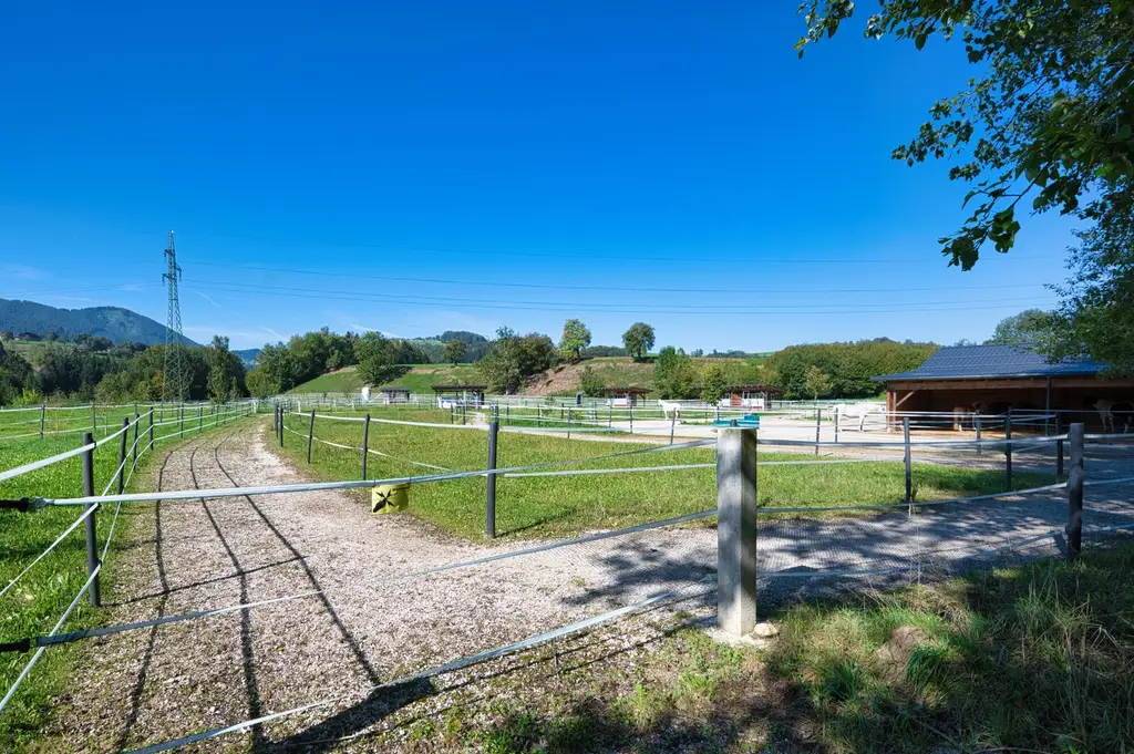 Reiterhof. Vierkanter. Wirtshaus. Zimmervermietung. Wohnungen. Natur.