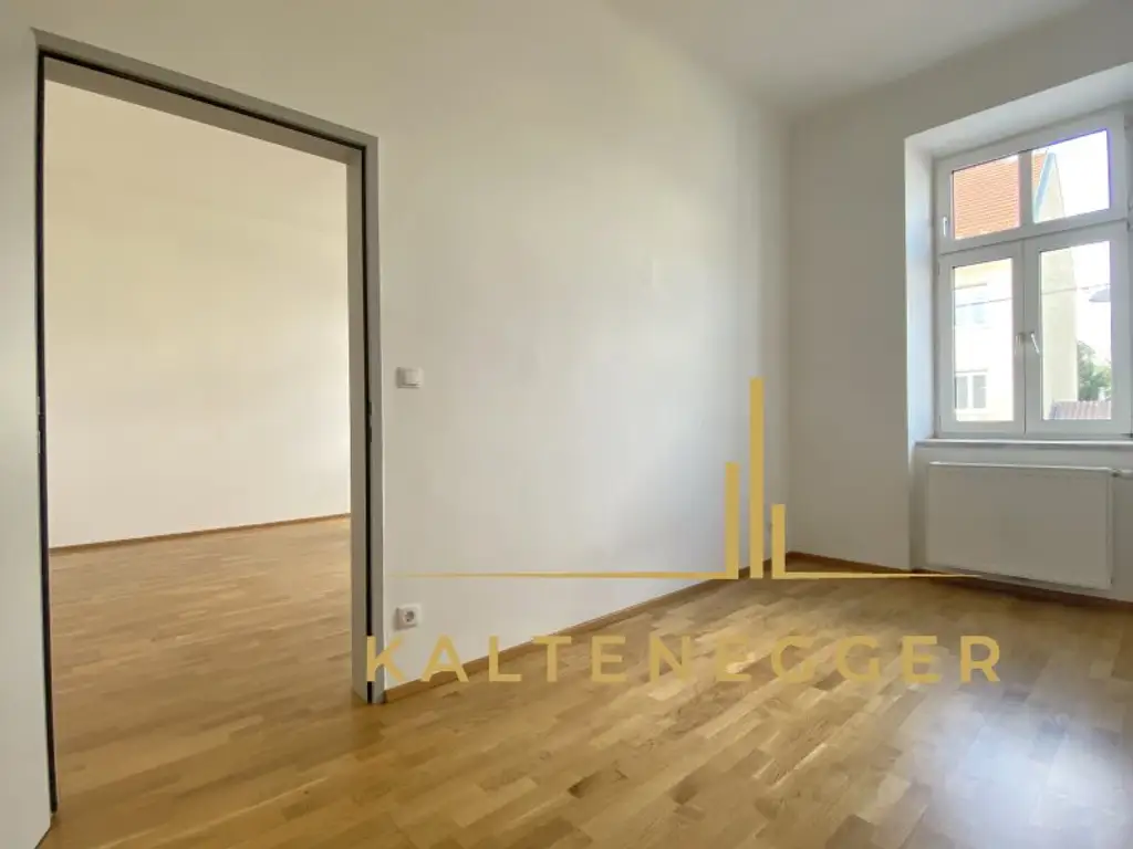 Zinshaus mit signifikantem Entwicklungspotenzial und bestandsfreien Flächen