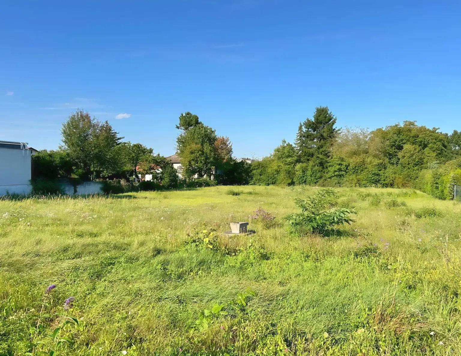 Sonniges Baugrundstück in Wolfpassing: 2.102m² für 989.000 € - Ihr Platz zum Leben! AUCH FÜR BAUTRÄGER INTERESSANT!