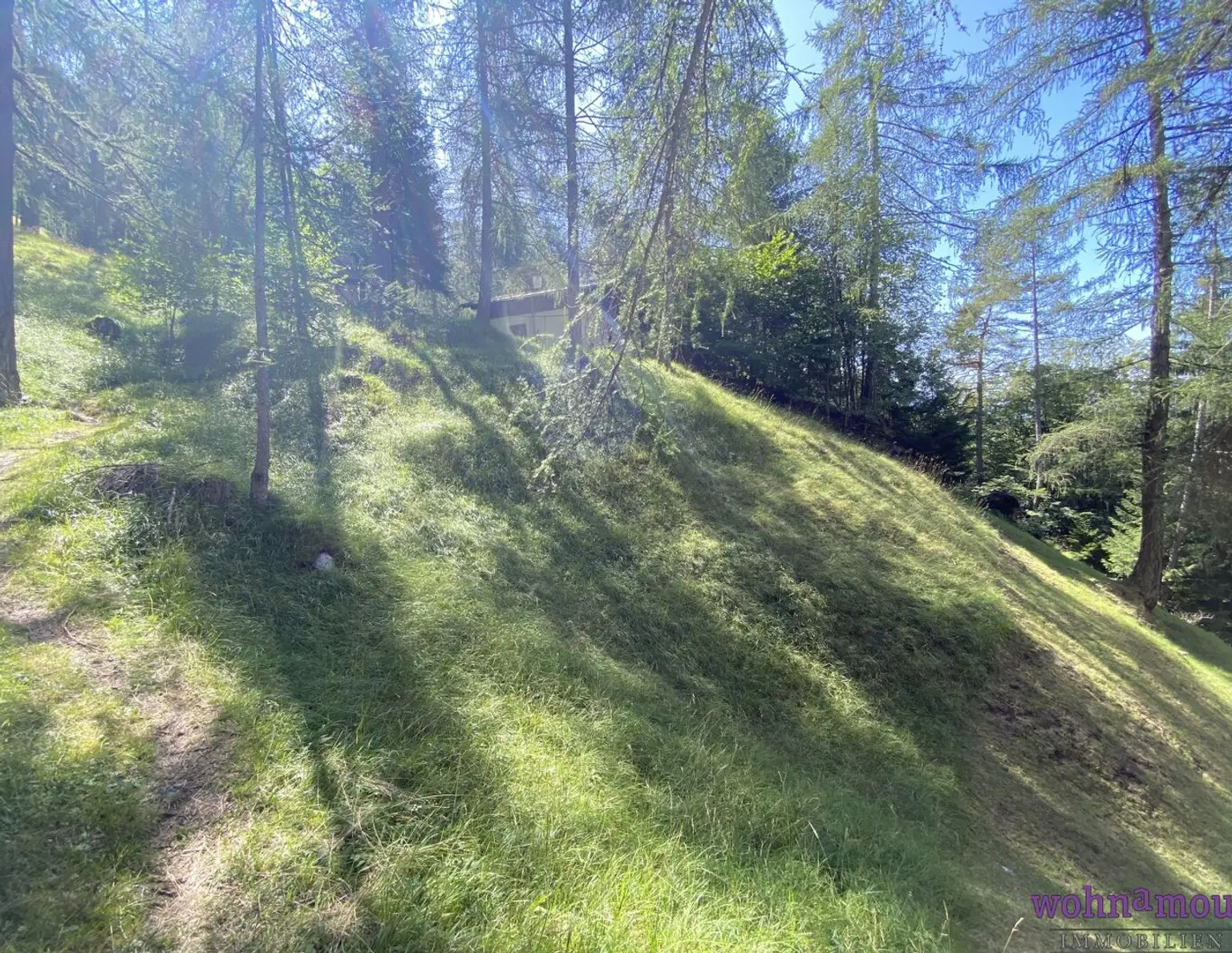 Für Sanierungskünstler: Hütte mit Freizeitwohnsitz zu verkaufen