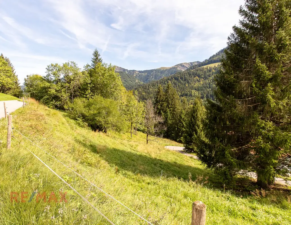 Ankommen und Ausspannen auf 950 m² Naturglück