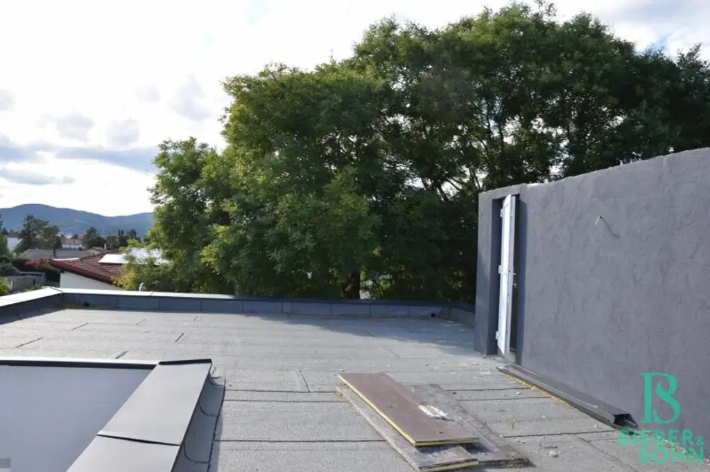 Großzügiges, sonniges Einfamilienhaus mit 80m² Dachterrasse