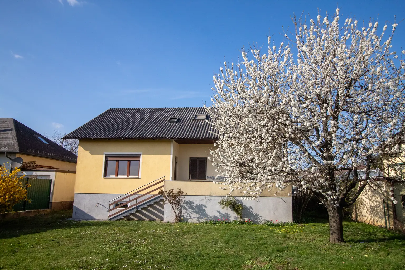 Blick vom Garten zum Haus