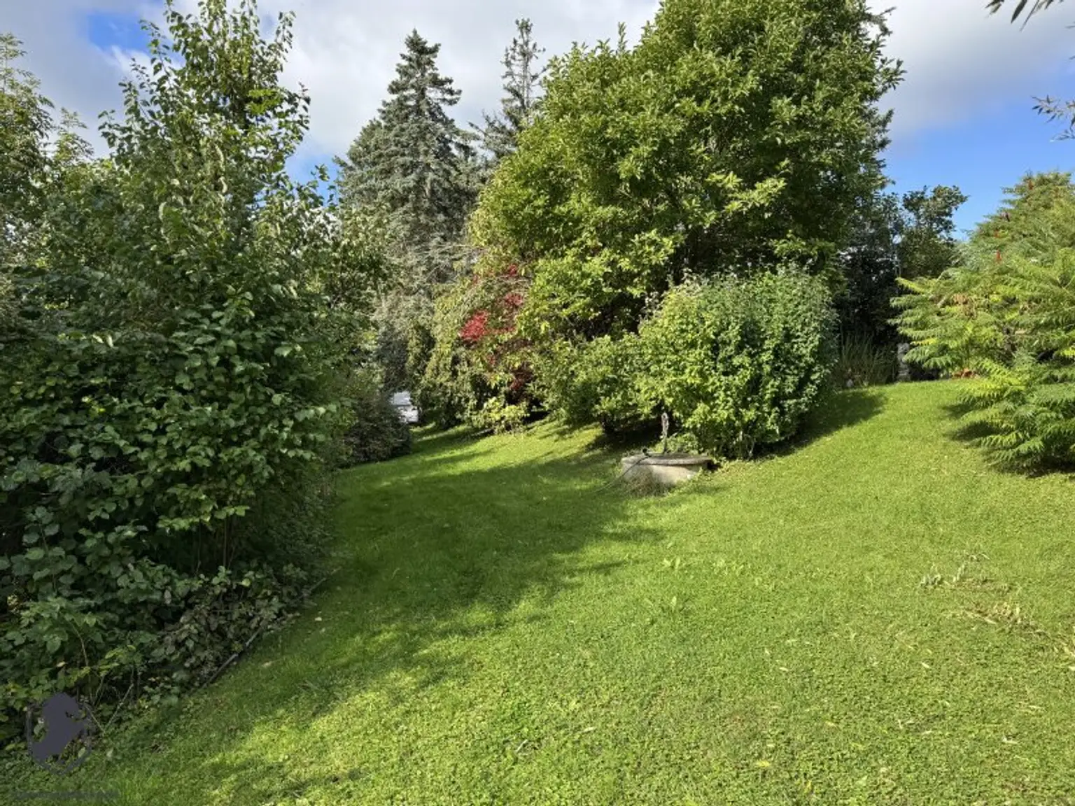 Einfamilienhaus mit großem Keller und traumhaftem Wald-Blick