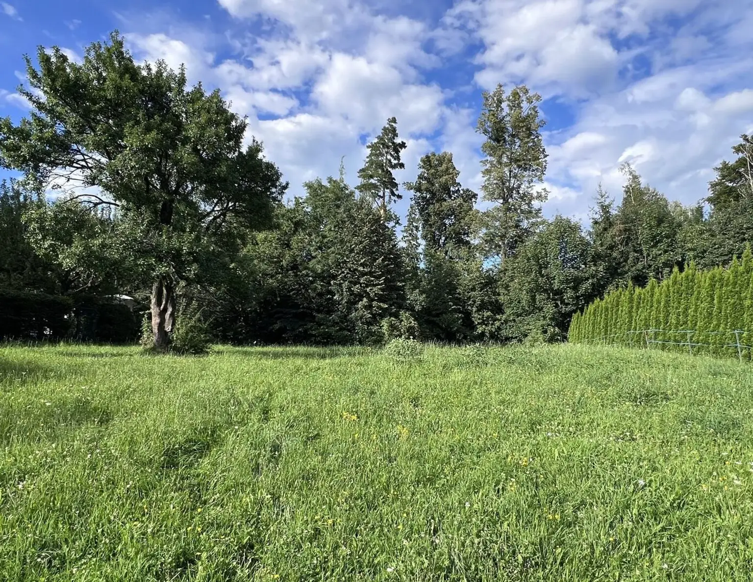 Baugrundstück in bester Lage in St. Radegund bei Graz