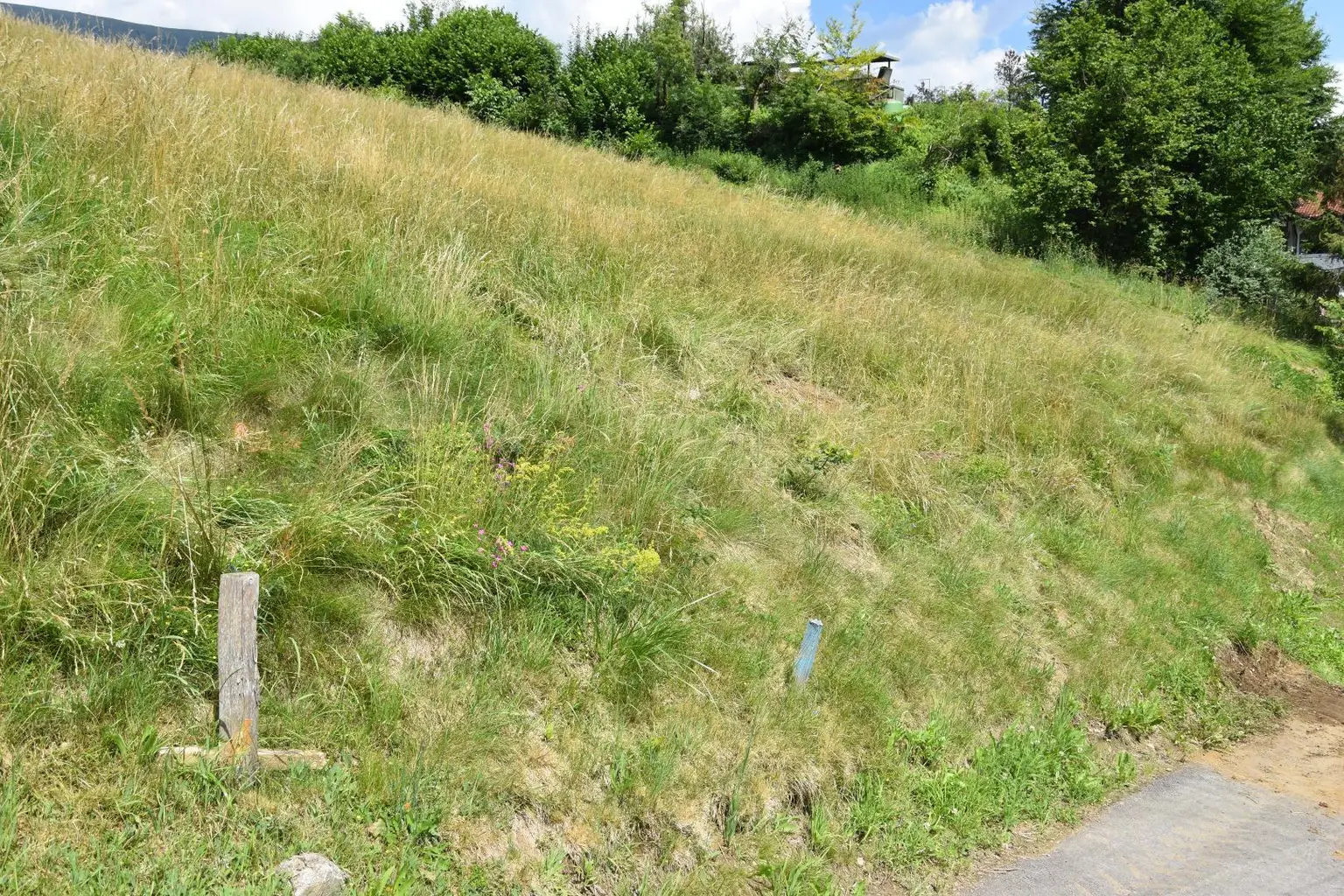 südwestliche Grenze