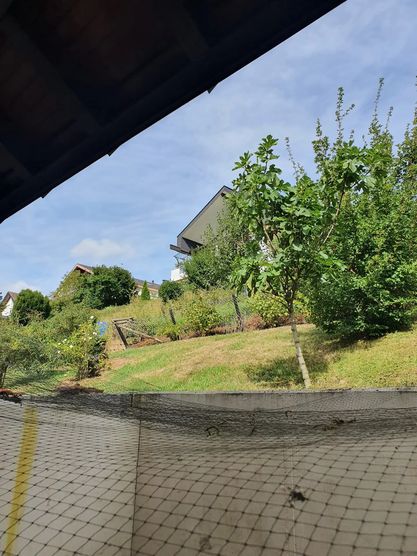 Garten hinter dem Haus