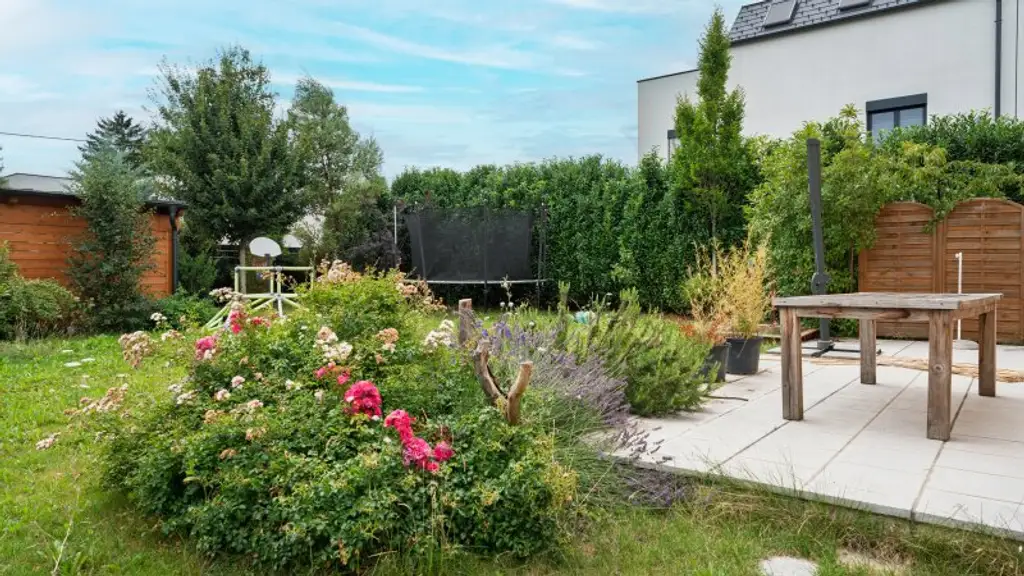 Charmantes Einfamilienhaus mit Nebengebäude und Doppelcarport – Ihr neues Zuhause wartet!