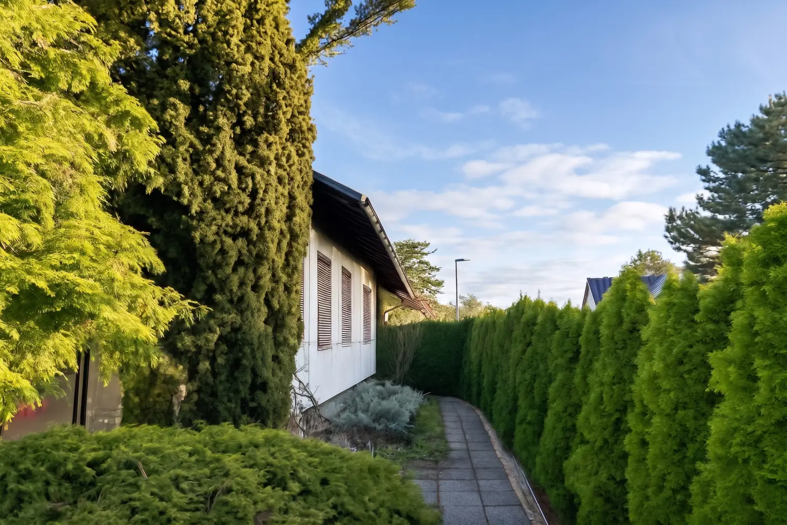 Seitenansicht