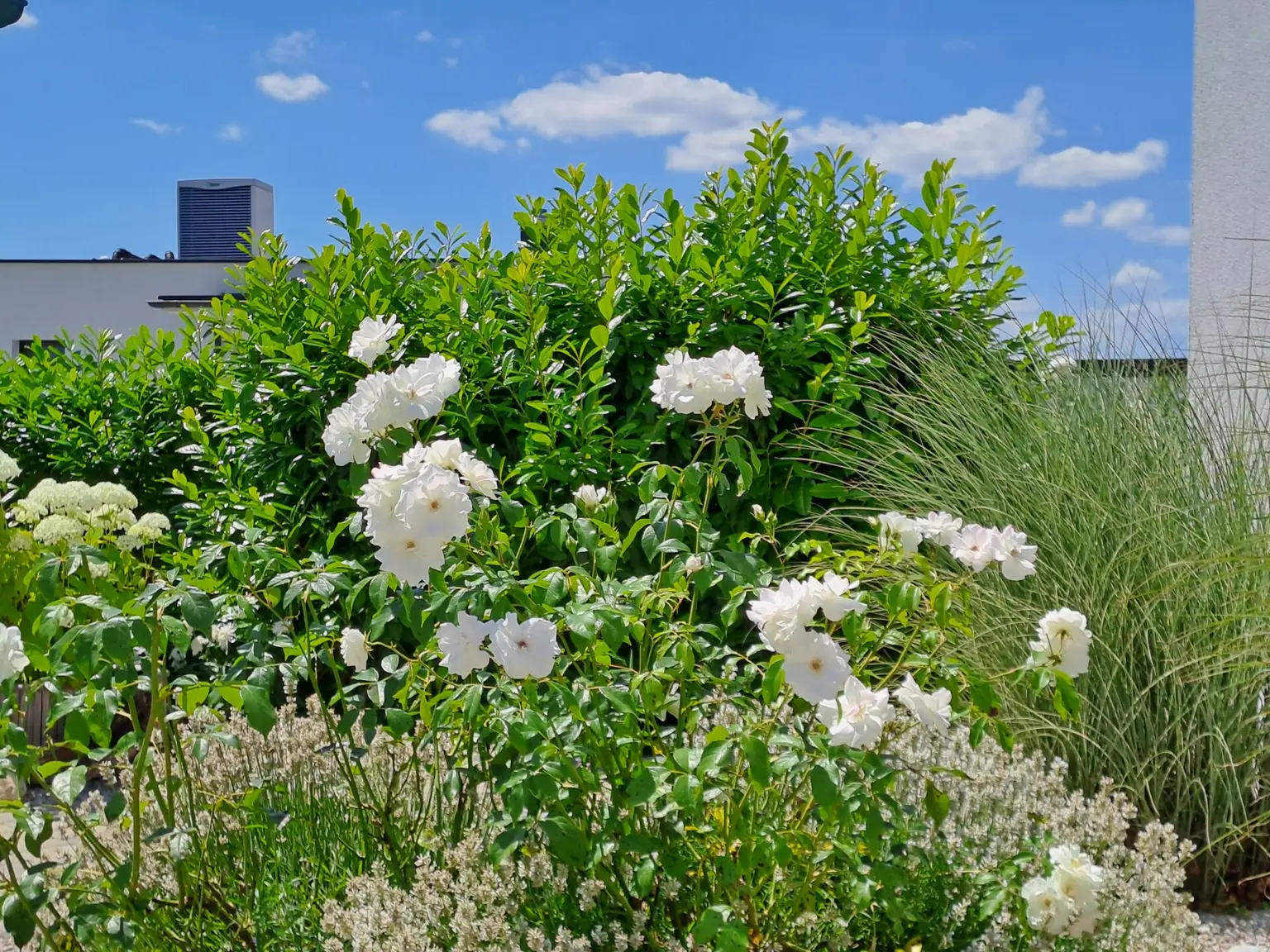 TRAUMHAFTES REFUGIUM AM PRIVATSEE