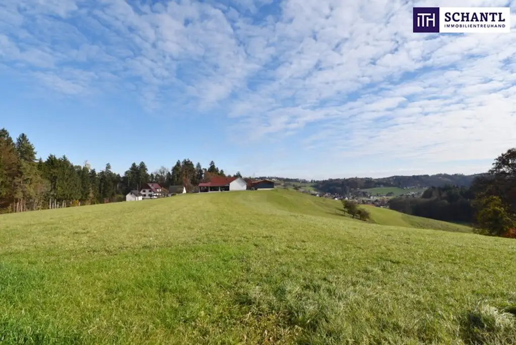 SPITZEN Grundstück vollerschlossen mit hoher Bebauungsdichte - ca. 330m² Wohnfläche in Oisnitz / St. Josef - Nähe Lannach