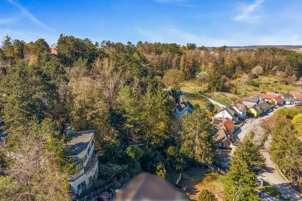 Großzügiges Anwesen mit WEITBLICK, historischer Weinpresse, Erdkellern und vielfältigen Nutzungsperspektiven