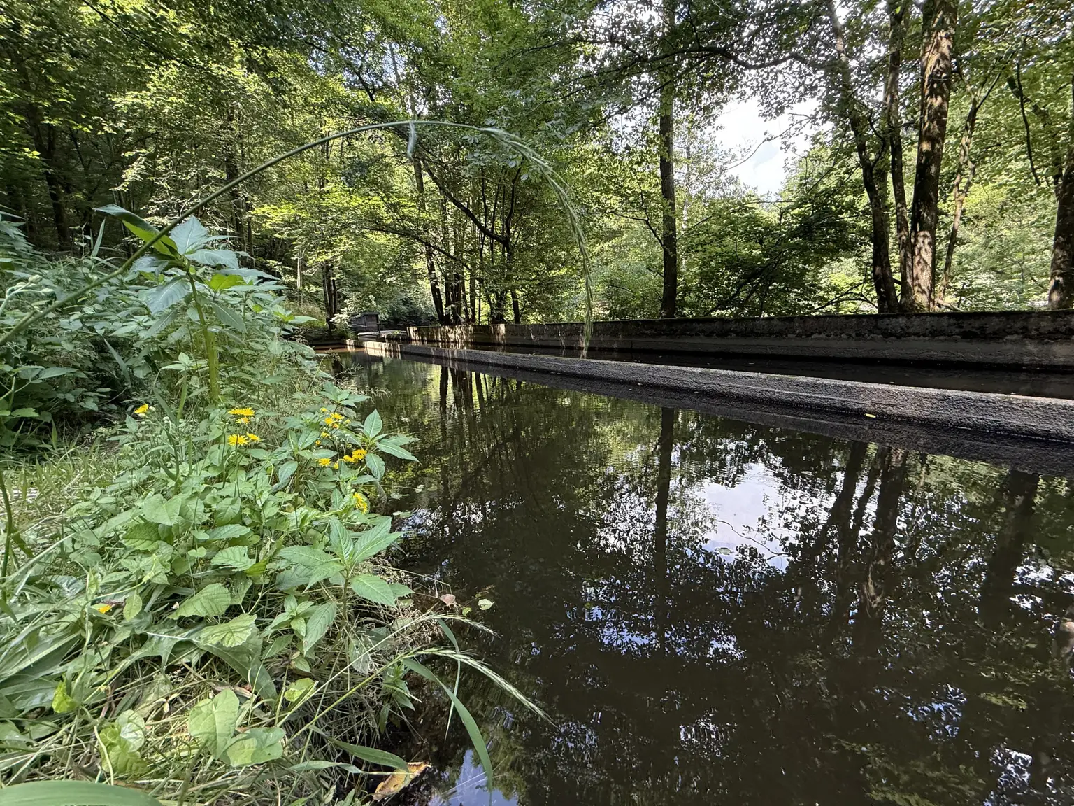 Fischbecken am Norden der Liegenschaft