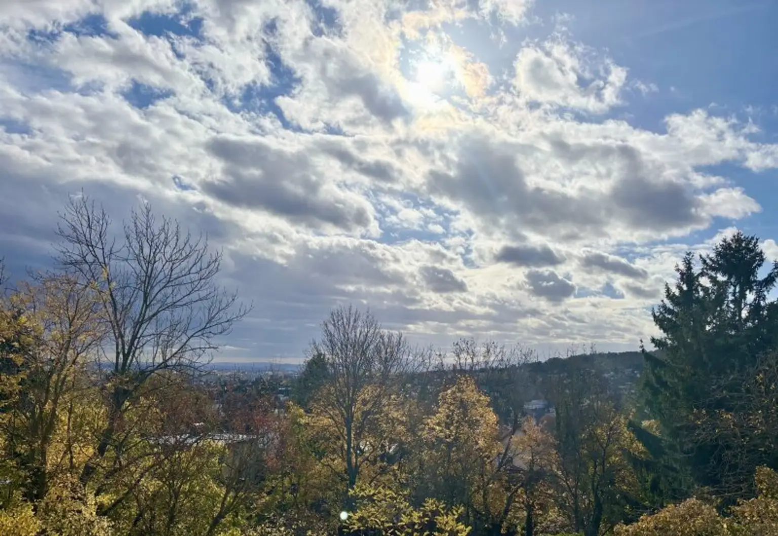 HEAVENLY AM SCHAFBERG